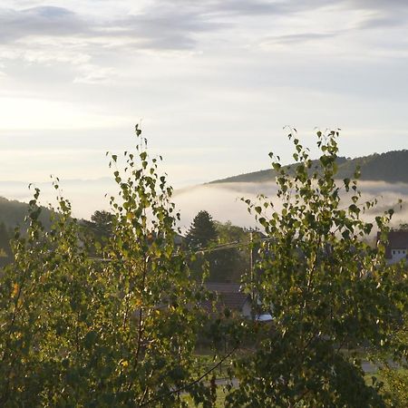 Gites Du Taennchel Thannenkirch Esterno foto