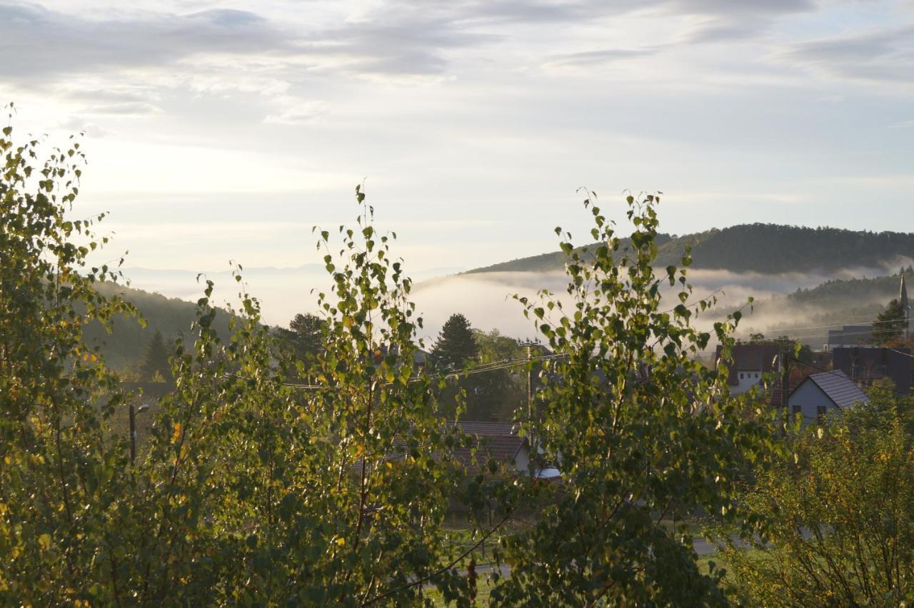 Gites Du Taennchel Thannenkirch Esterno foto